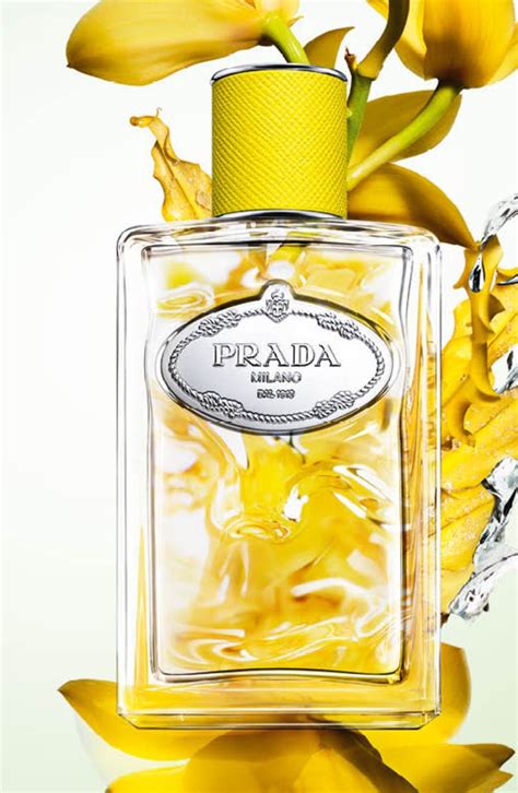 prada ylang perfume|prada beauty infusion d'ylang.